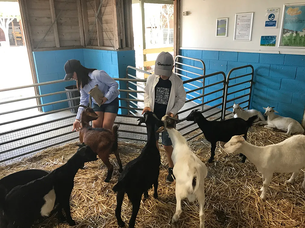 Sydney 3, 5, and 7 Ticket Flexi Pass | Experience Oz-8