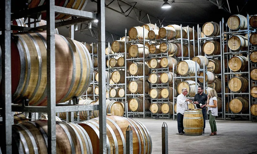 Brokenwood VIP Winery Tour - Book Now | Experience Oz