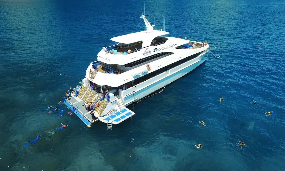 Great Barrier Reef Dive and Snorkel Cruise to 2 Reef Locations