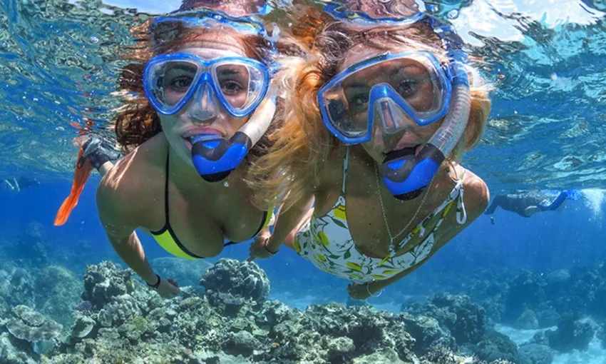 Cairns Great Barrier Reef Dive & Snorkel Tour