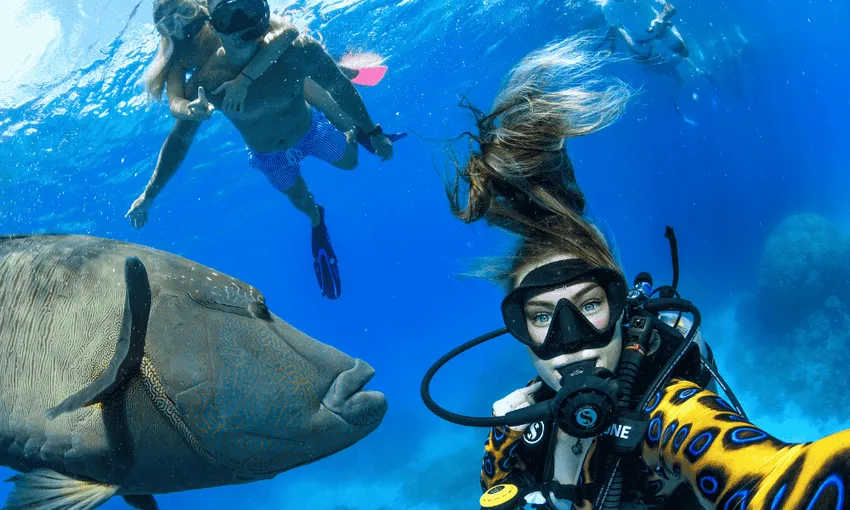 Cairns Great Barrier Reef Dive & Snorkel Tour