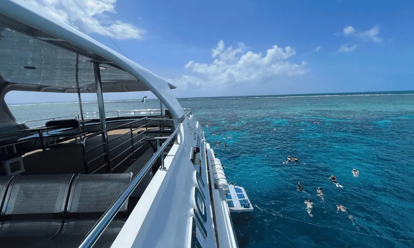 Cairns Great Barrier Reef Dive & Snorkel Tour