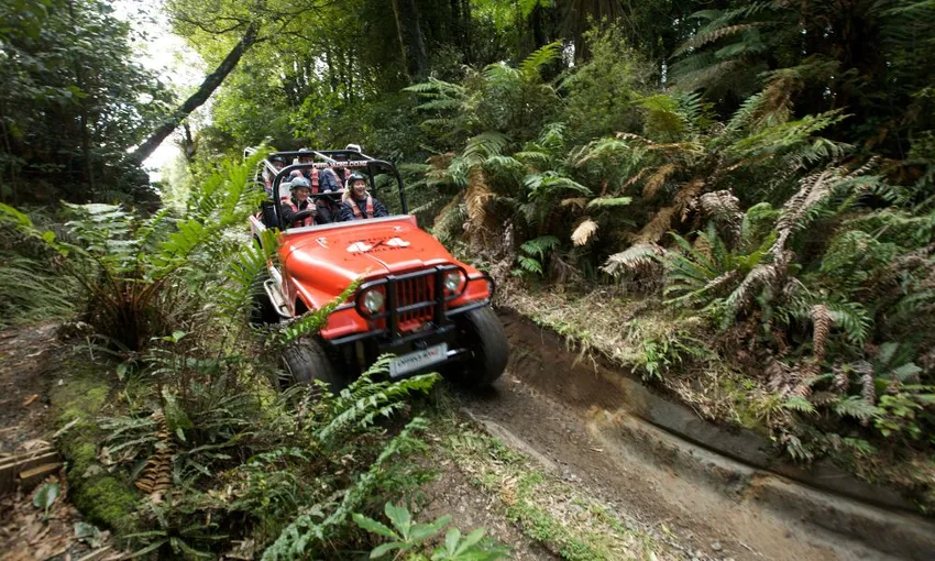 Monster 4X4 Thrill Ride - Book Now | Experience Oz