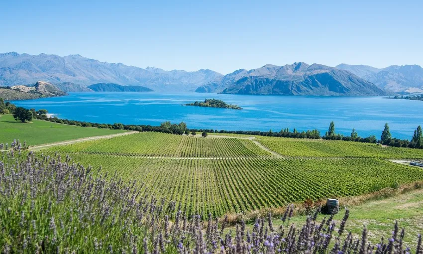 Wanaka Classic Wine Tour - For 2 | Book Now | Experience Oz
