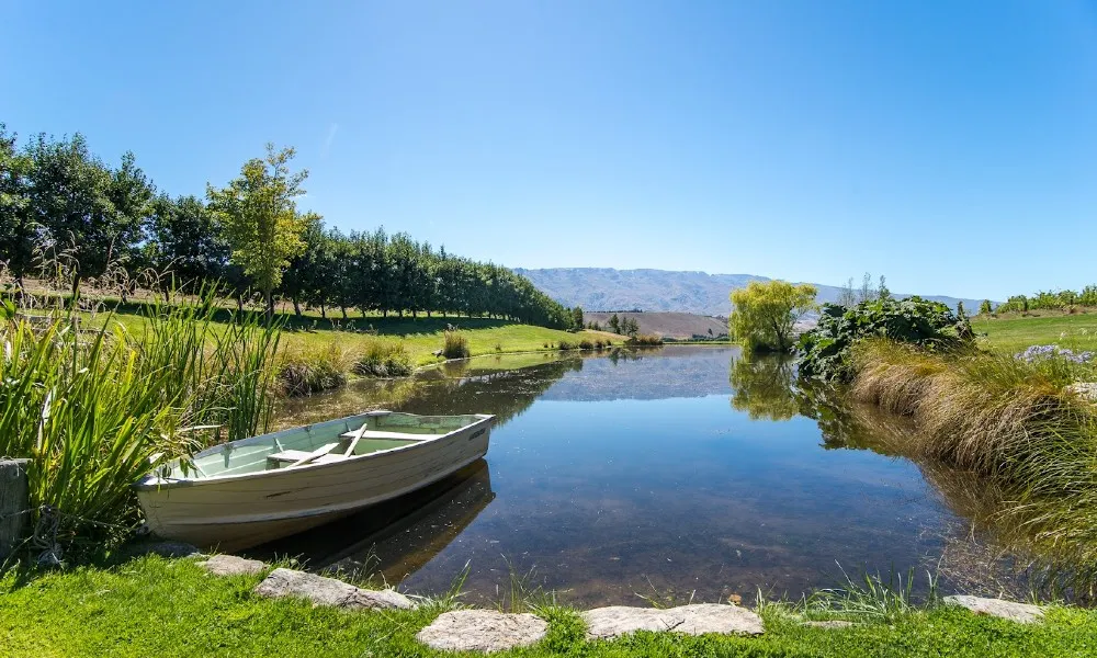 Wanaka Boutique Wine Tour - Book Now | Experience Oz -5