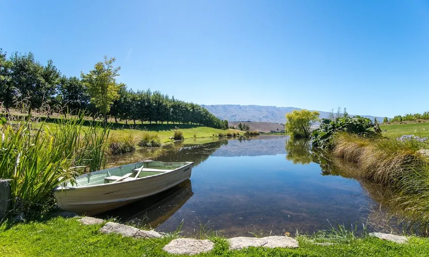 Wanaka Boutique Wine Tour - Book Now | Experience Oz 