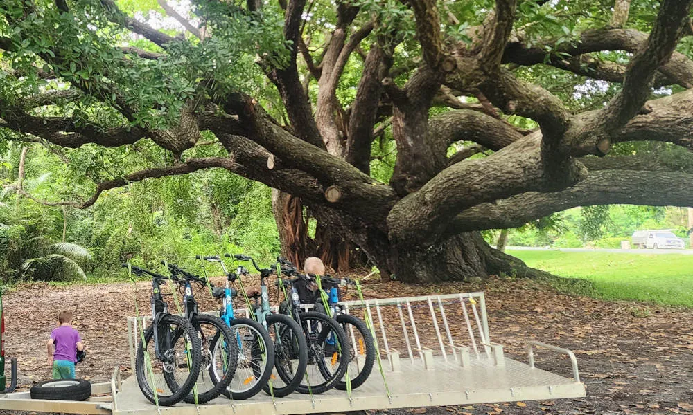 Mossman Highlights Self-Guided eBike Tour-6