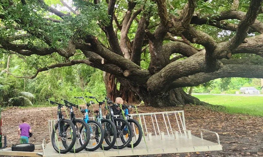 Mossman Highlights eBike Self-Guided Tour