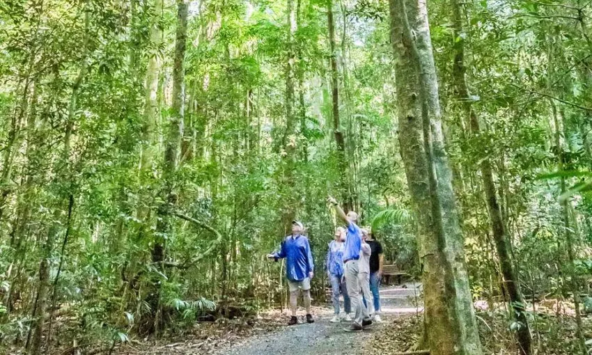 Sunshine Coast Hinterland Highlights Tour - Book Now | Experience OZ