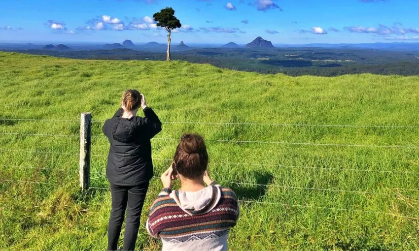 Sunshine Coast Hinterland Highlights Tour - Book Now | Experience OZ