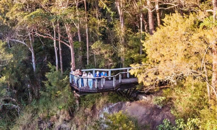 Sunshine Coast Hinterland Highlights Tour - Book Now | Experience OZ