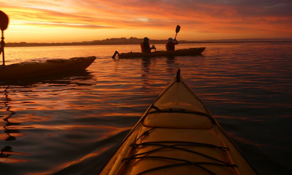 Sunset Coorong Kayaking Tour & Picnic - Goolwa, Adelaide