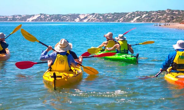 Coorong Guided Kayaking Tour with Lunch - 5 Hours