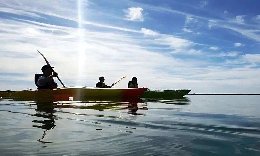 Full Day Guided Coorong Kayaking Tour - Goolwa, Adelaide