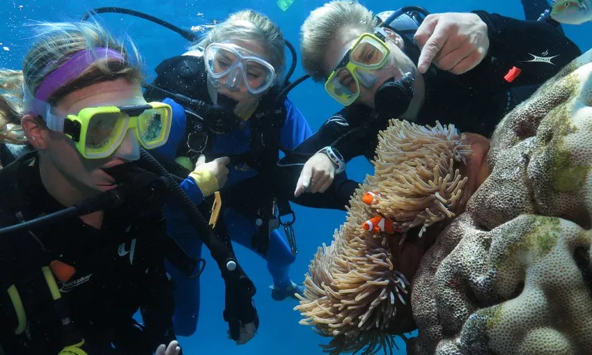 Great Barrier Reef Quicksilver Full Day Cruise Tour - Port Douglas