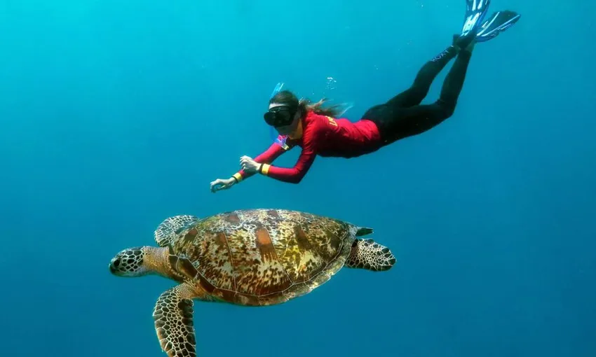 Great Barrier Reef Quicksilver Full Day Cruise Tour - Port Douglas