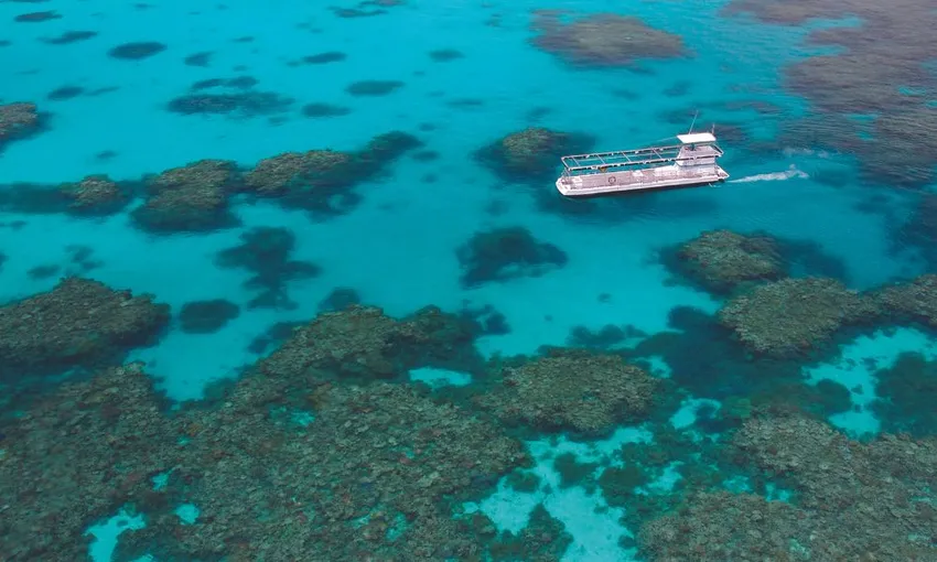 Great Barrier Reef Quicksilver Full Day Cruise Tour - Port Douglas