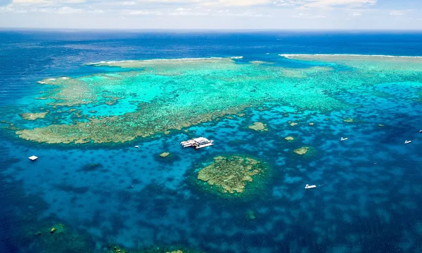 Great Barrier Reef Quicksilver Full Day Cruise Tour - Port Douglas