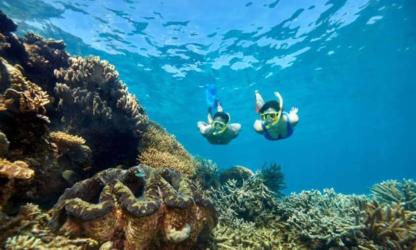 Great Barrier Reef Quicksilver Full Day Cruise Tour - Port Douglas