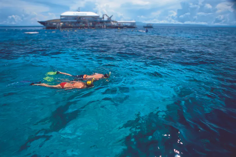 Great Barrier Reef Quicksilver Full Day Cruise Tour - Port Douglas