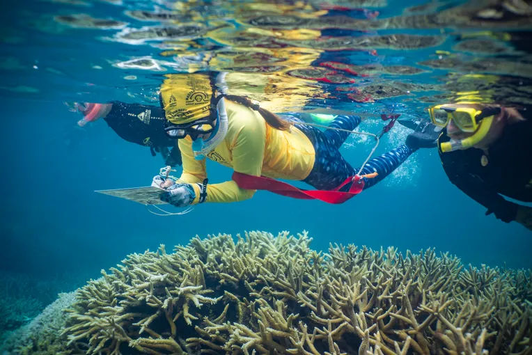 Great Barrier Reef Quicksilver Full Day Cruise Tour - Port Douglas