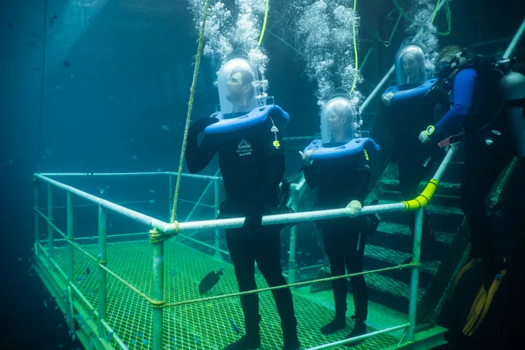 Great Barrier Reef Quicksilver Full Day Cruise Tour - Port Douglas