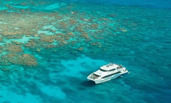 Great Barrier Reef Dive and Snorkel Adventure