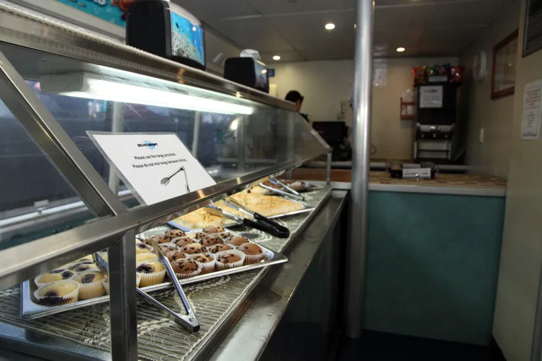 Great Barrier Reef Dive and Snorkel Adventure