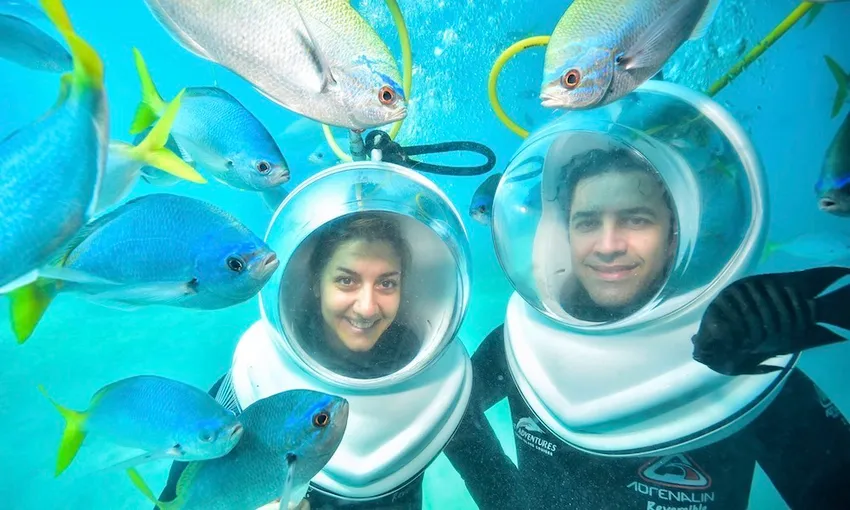 Great Barrier Reef Adventure from Cairns