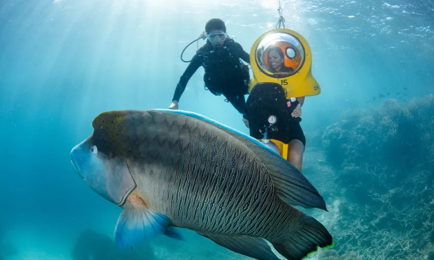 Great Barrier Reef Adventure from Cairns