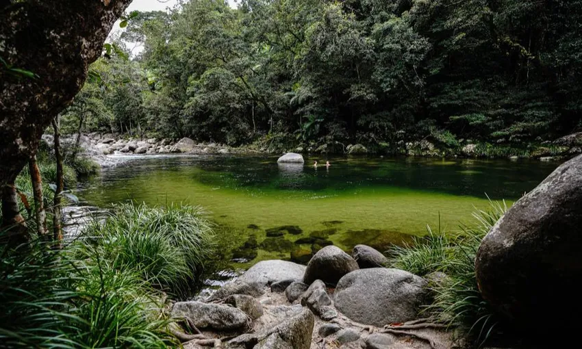 Total Daintree Experience - Small Group Tour from Port Douglas | Experience Oz