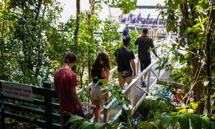 Total Daintree Experience - Small Group Tour from Port Douglas | Experience Oz