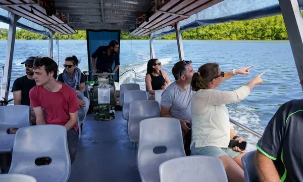 Total Daintree Experience - Small Group Tour from Port Douglas