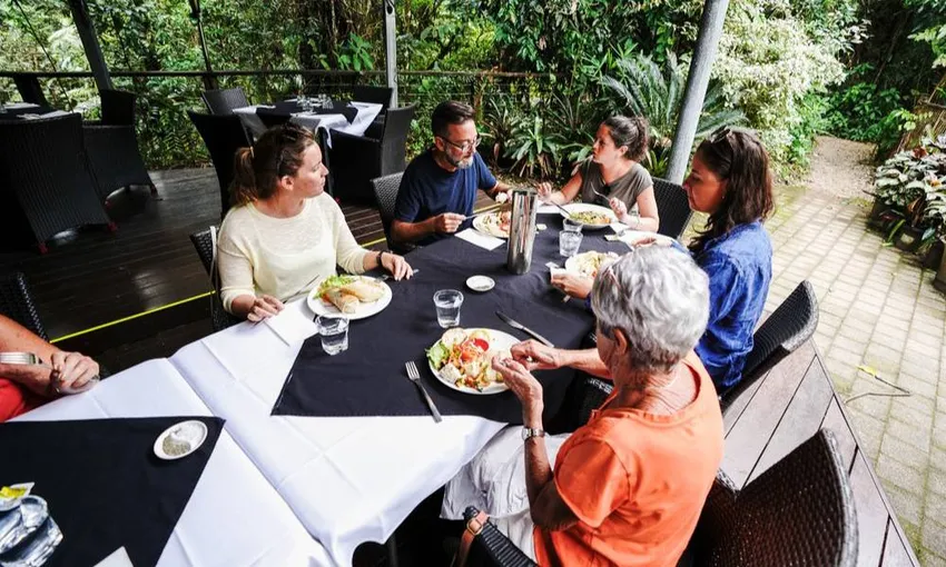 Total Daintree Experience - Small Group Tour from Port Douglas | Experience Oz