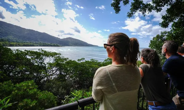 Daintree Rainforest & Cape Tribulation Tour - Full Day