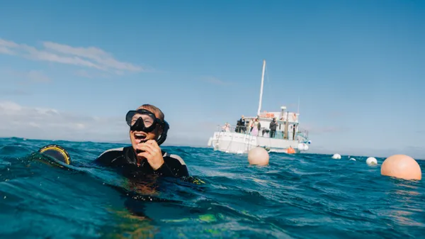  Swim With Dolphins & Seals - 3 Hours - Mornington Peninsula