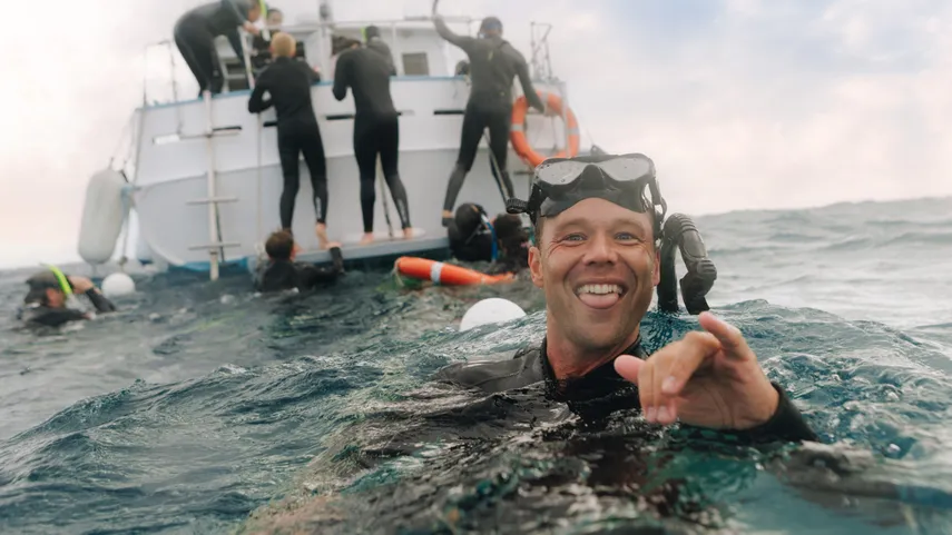  Swim With Dolphins & Seals - 3 Hours - Mornington Peninsula