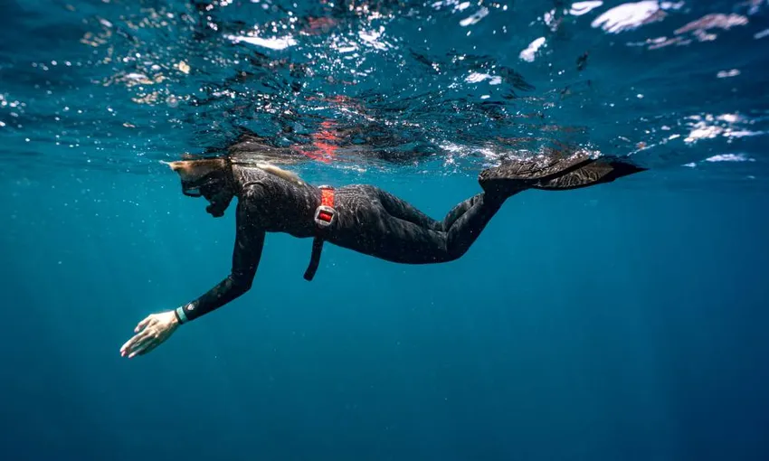 Mudjimba Island Fun Dive and Snorkel | Experience Oz 