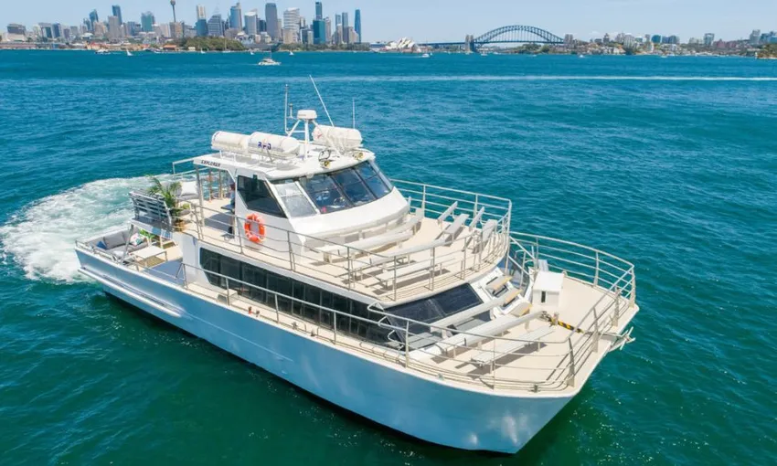 Sydney Whale Watching Adventure Cruise - Book Now | Experience Oz