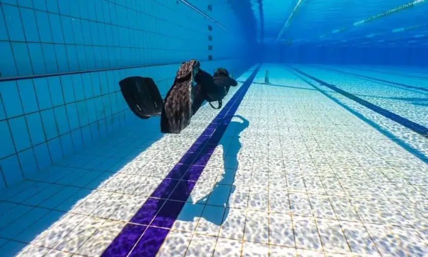 Beginner Freediving Course, Full Day - Byron Bay