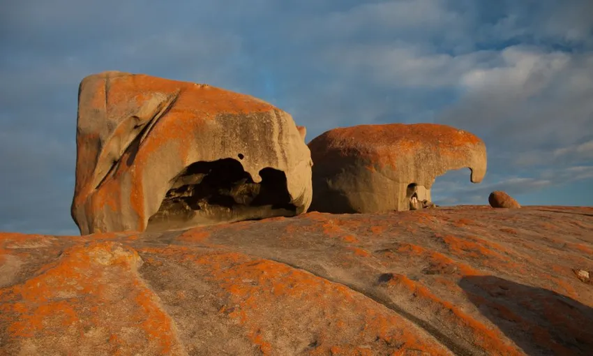 Kangaroo Island Luxury Flinders Chase Full Day Tour - Book Now | Experience Oz