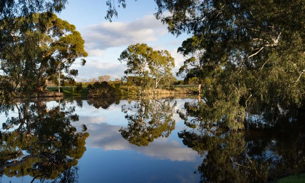 Kangaroo Island Full Day Landscape and Wildlife Tour - Book Now | Experience Oz-5