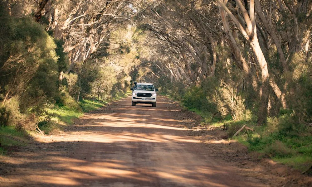 Kangaroo Island Full Day Landscape and Wildlife Tour - Book Now | Experience Oz-1