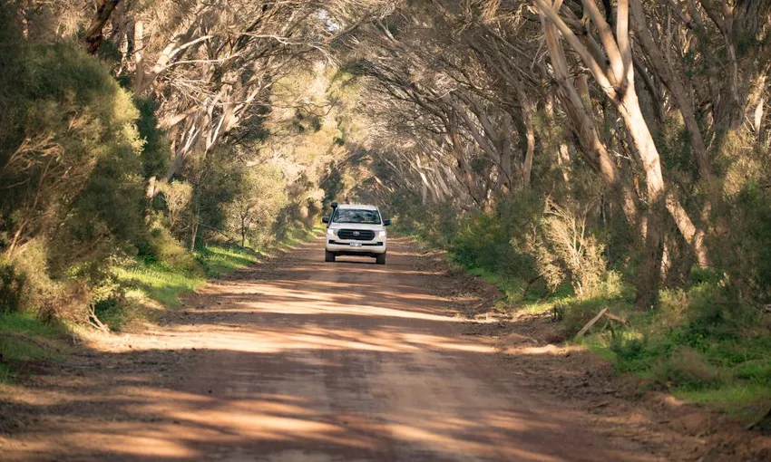 Kangaroo Island Full Day Landscape and Wildlife Tour - Book Now | Experience Oz