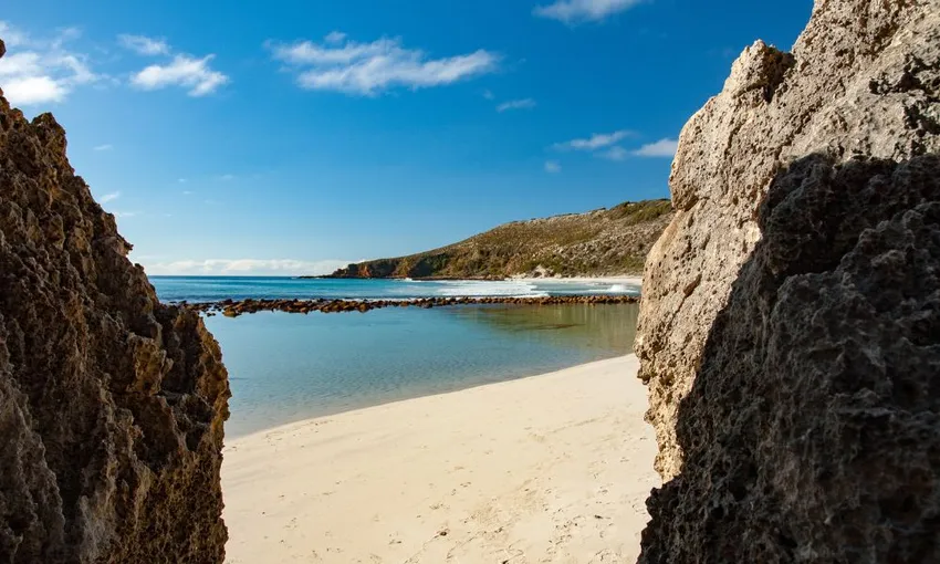 Kangaroo Island Full Day Landscape and Wildlife Tour - Book Now | Experience Oz