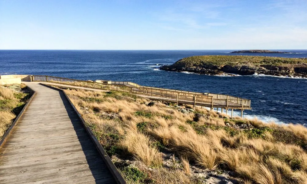 Private Kangaroo Island Flinders Chase Full Day Tour - For 2-3