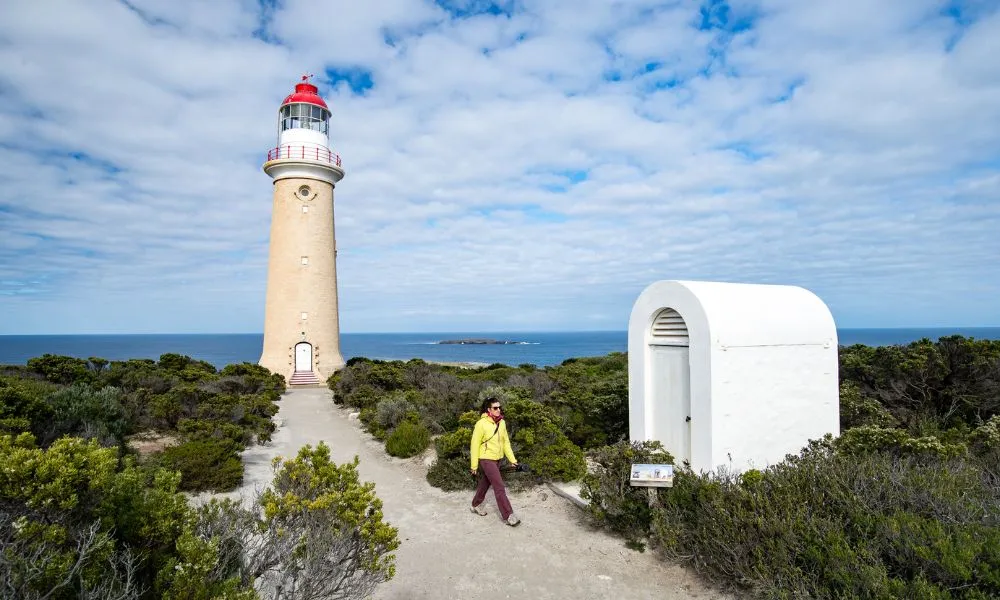 Private Kangaroo Island Flinders Chase Full Day Tour - For 2-1
