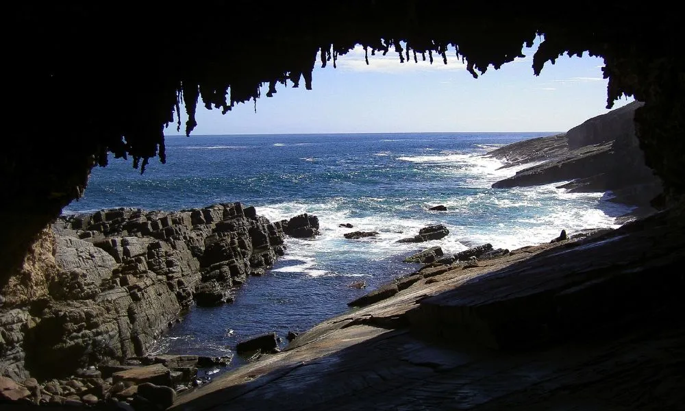 Private Kangaroo Island Flinders Chase Full Day Tour - For 2-8