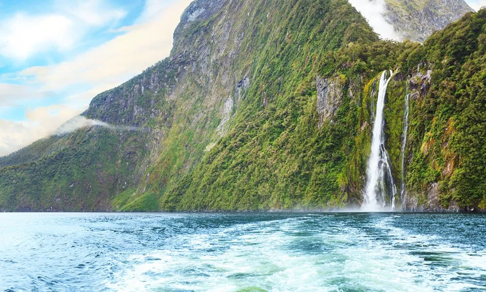 Milford Sound Tour, Cruise & Picnic Lunch | Experience OZ-4
