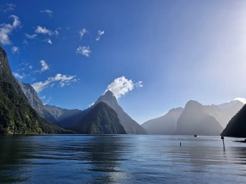 Milford Sound Tour, Cruise & Picnic Lunch | Experience OZ-10